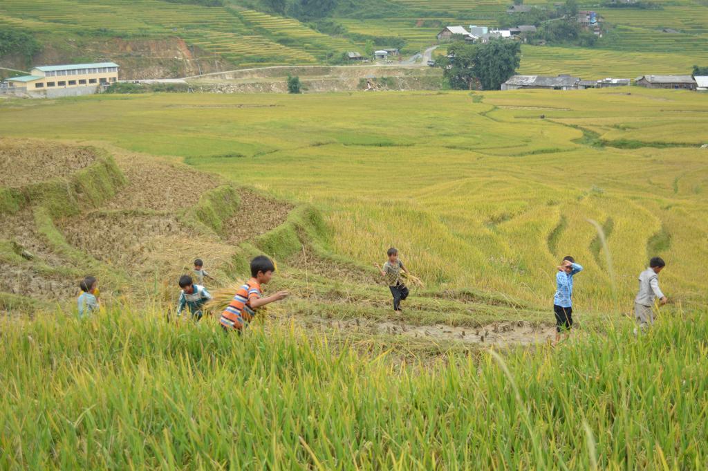 Cau May Homestay Sa Pa Exterior foto