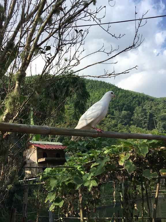 Cau May Homestay Sa Pa Exterior foto